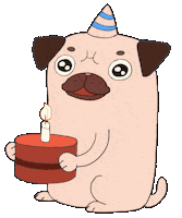 Happy Birthday Party Sticker