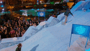 abcnetwork abc face plant holey moley holeymoleyabc GIF