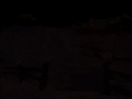 charlie brown GIF by Peanuts