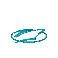 Hmy Logo Sticker by HMY Yachts