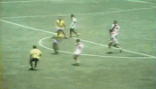 pele GIF