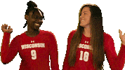 Wisconsin Volleyball Sport Sticker by Wisconsin Badgers