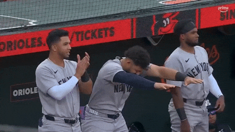 New York Yankees Sport GIF by MLB