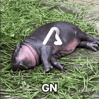 AidenLabs ai goodnight good night blockchain GIF