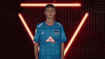 Berlin Vbl GIF by Bundesliga
