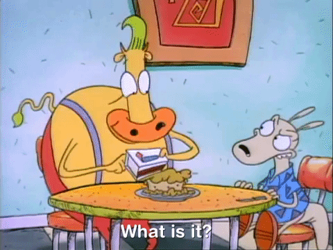 rockos modern life nicksplat GIF