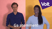 VoltNL stem volt verkiezingen stemvolt GIF