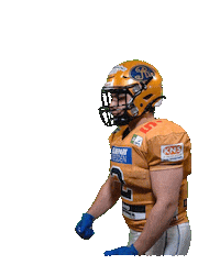 Football Sport Sticker by Dresden Monarchs