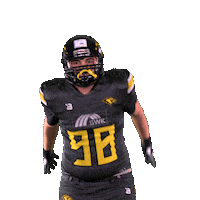 Football Sport Sticker by Krefeld Ravens