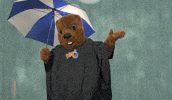 Rain Environment GIF by Weather Underground