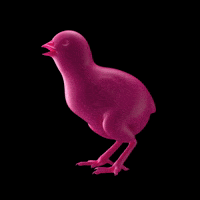 libeskindarts hieroglyphics hieroglyphs hieroglyph cryptosonoglyph GIF