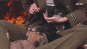 Zendaya GIF by BuzzFeed