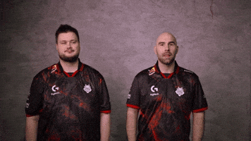 Lmao Seriously GIF by G2 Esports