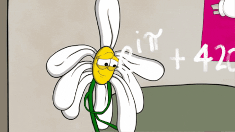 Confused Animation GIF by PettySnacks