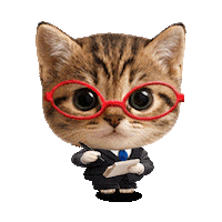 Cat Yes Sticker