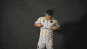 South Carolina Soccer GIF by Charleston Battery
