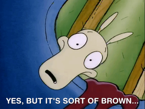 rockos modern life nicksplat GIF