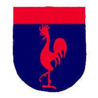 agescier scout scouting agesci forli Sticker