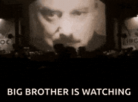 Big Brother GIF