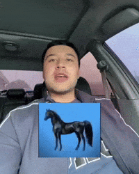 Shaxzodbek GIF