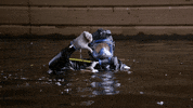 History Channel No GIF by Sky HISTORY UK