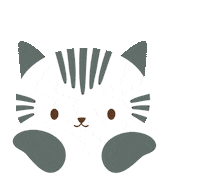 Cats Gato Fofo Sticker