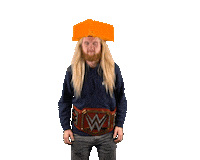 aaron rodgers nfl Sticker by ransport