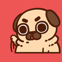GIF by Puglie Pug