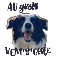 Luolivier Sticker