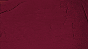 College Baseball GIF by Pearl River Athletics