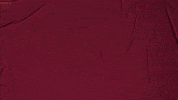 College Baseball GIF by Pearl River Athletics