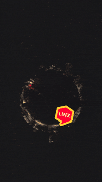 Fire Mask GIF by Linz News