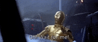 the empire strikes back GIF by Star Wars
