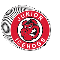 RockfordParkDistrict rockford park district icehogs rockford hockey 815 hockey Sticker