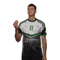 Wolfen Sticker by Volleyball Bundesliga