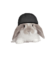 skiamade fun great ride ski Sticker