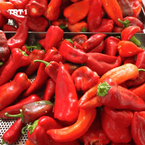 Pot Shut Up GIF by TRT