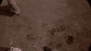 the deadly trackers GIF by Warner Archive