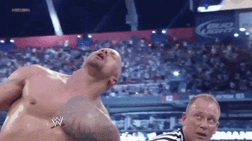 the rock wrestling GIF by WWE