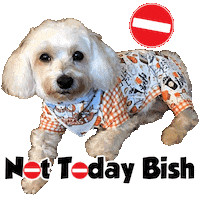 Sleepy Sticker by Pimp Yo Pets