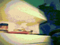 Flowers Tank GIF