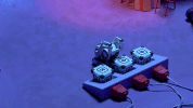 GIF by Anki