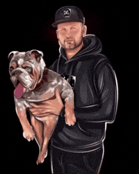 APB_Bulldogs bulldog stud pharaoh english bulldog GIF