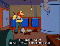 Season 6 Episode 25 GIF by The Simpsons