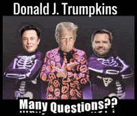 Many Questions GIF by Florida Man Shades