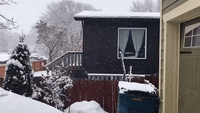 Snow Blankets Western Montana Amid Winter Storm Warning