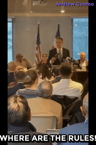 New York Vote GIF by Andrew Cuomo