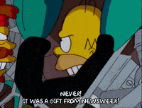 homer simpson fighting GIF
