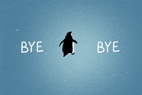 Bye Bye