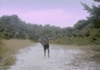 Toronto International Film Festival Tiff2019 GIF by TIFF